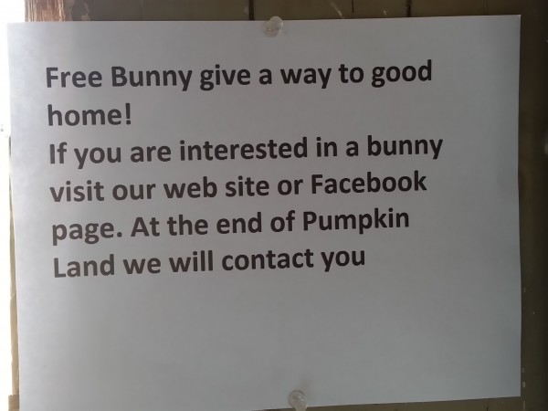 2014-09-28 11.37.48